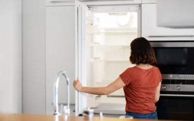 Jak ustawić temperaturę w lodówce Indesit – praktyczny poradnik